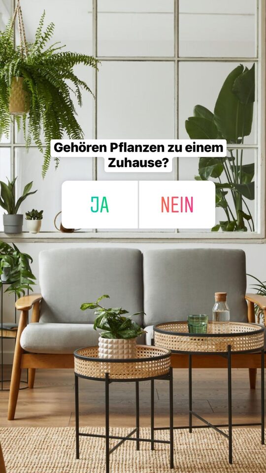 Umfrage